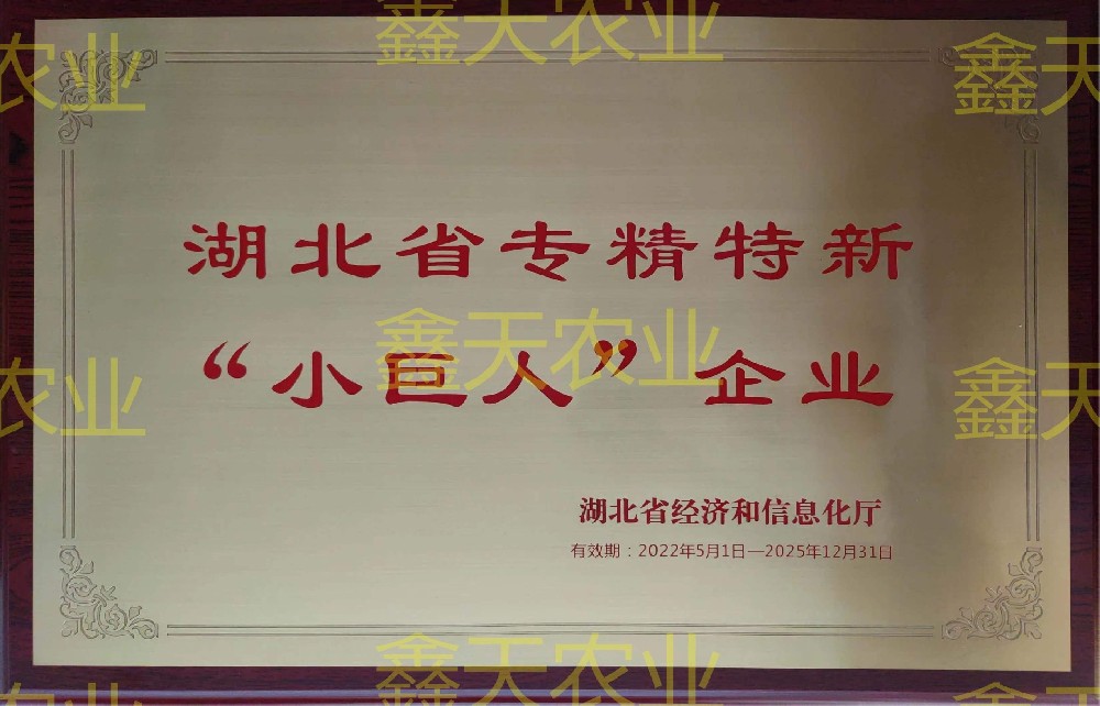 湖北省專(zhuān)精特新“小巨人”